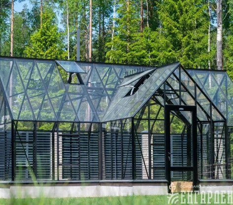 Теплица Botanik T Style 45 Maximum с тамбуром Standard комплектом купейных двери Ботаник