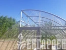 Теплица остроконечная Victory по Митлайдеру (Виктори)