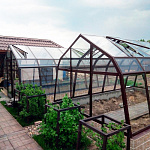 Теплица Югра