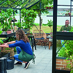 Теплица Juliana Premium 13.0 с высоким цоколем — антрацит ( Джулиана)