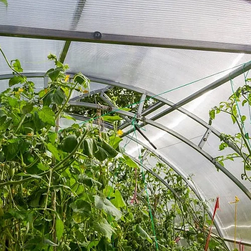 Теплица Воля Двойная Фора