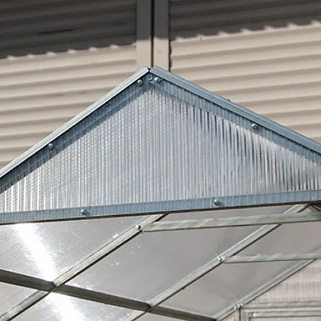 Теплица Воля Министар