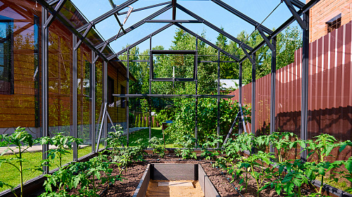 Уникальная теплица ЭКОНИКА