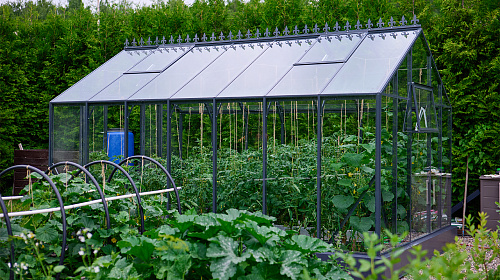 Теплица ЭКОНИКА  звезда участка