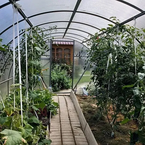 Теплица Воля Эко с усилителями