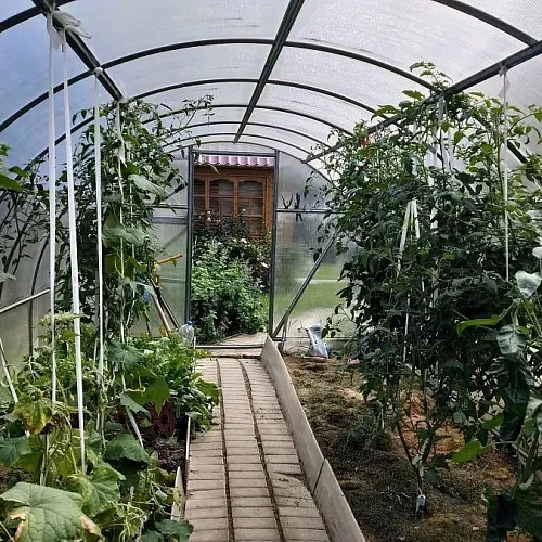 Теплица Воля Эко с усилителями