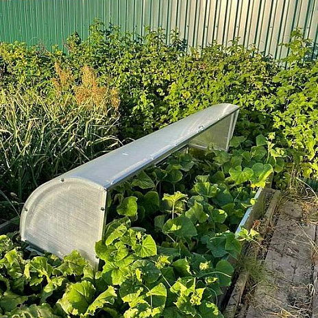 Парник Воля Лотос