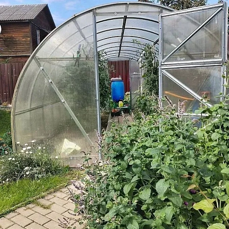 Теплица Воля Эко с усилителями