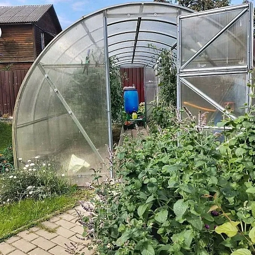 Теплица Воля Эко с усилителями