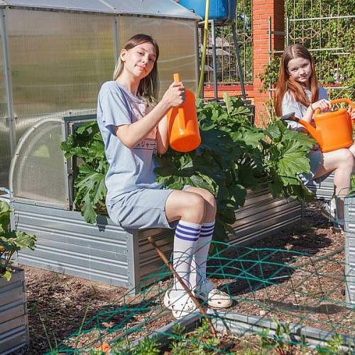 Парник Воля Хлебница