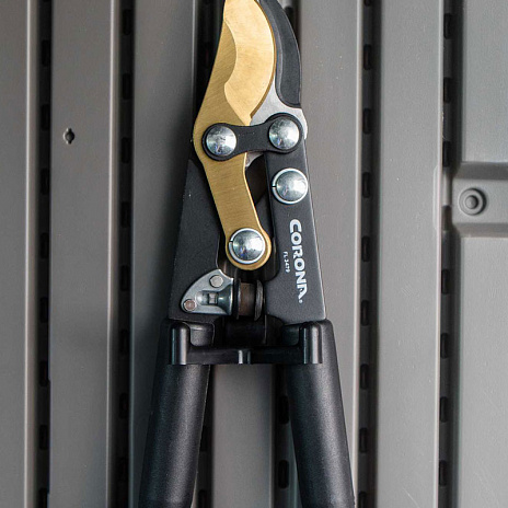 Сарай пластиковый WoodLook 8*10 NEW