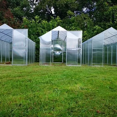 Теплица Воля Министар