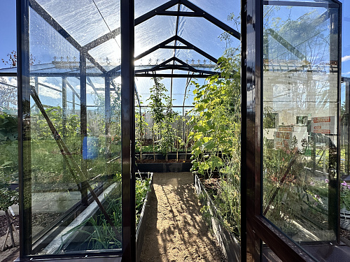 Теплица "botanik" с мини тамбуром 28м2