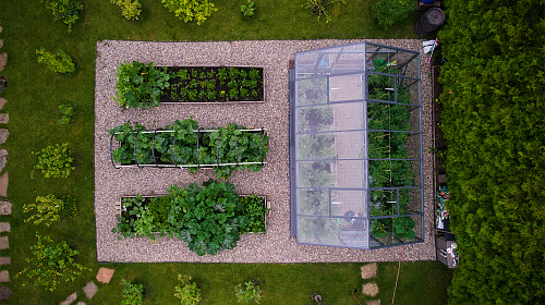 Теплица ЭКОНИКА  звезда участка