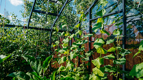 Теплица ЭКОНИКА с боковой дверью