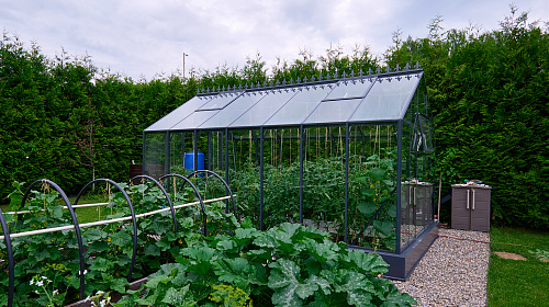 Теплица ЭКОНИКА  звезда участка