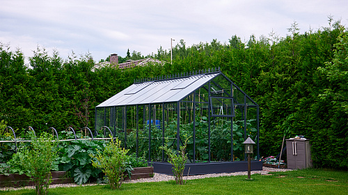 Теплица ЭКОНИКА  звезда участка