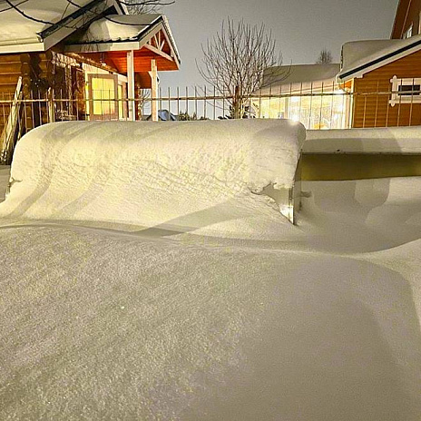 Парник Воля Лотос