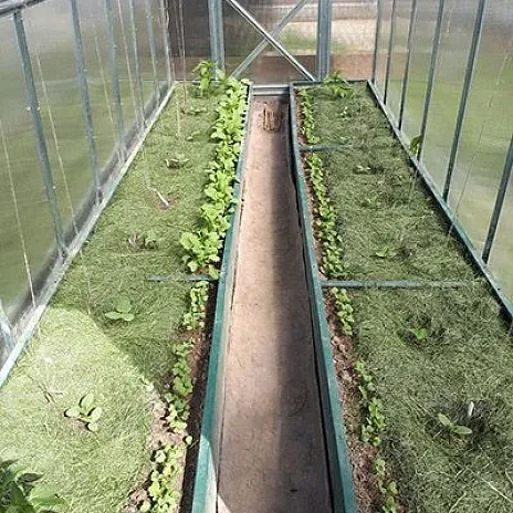 Теплица Воля Перчина М Плюс