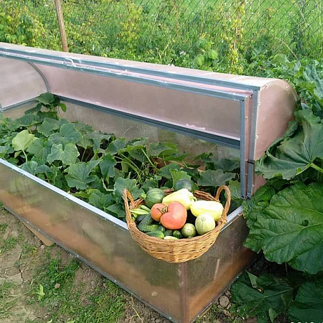 Парник Воля Лотос