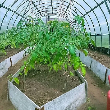 Теплица Воля Эко с усилителями