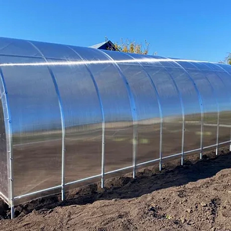 Теплица Воля Бетта