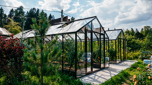 Две теплицы ЭКОНИКА на одном участке