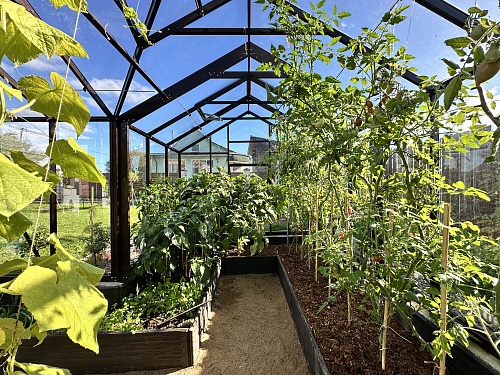 Теплица "botanik" с мини тамбуром 28м2