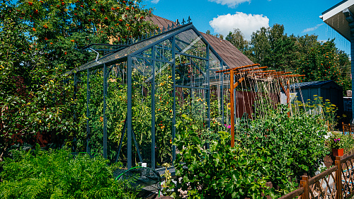 Теплица ЭКОНИКА с боковой дверью