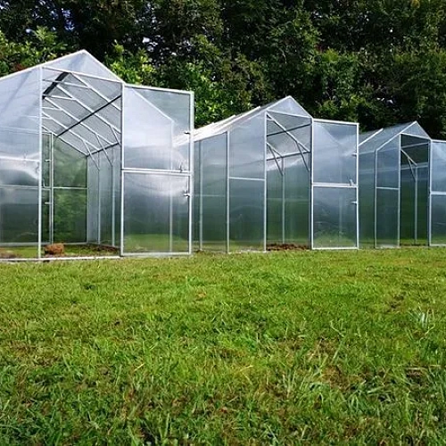 Теплица Воля Министар