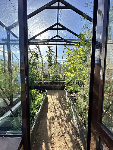 Теплица "botanik" с мини тамбуром 28м2