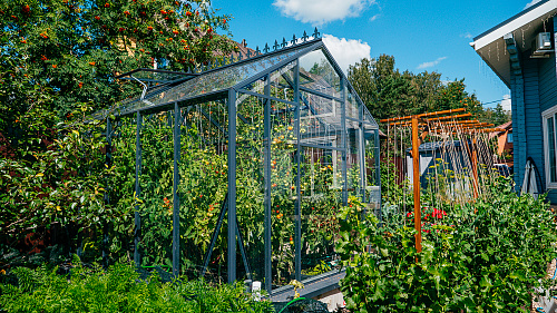 Теплица ЭКОНИКА с боковой дверью