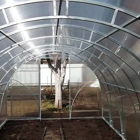 Теплица Воля Двойная Фора