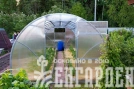 Теплица Воля Сигма Ц (шаг 100 см)