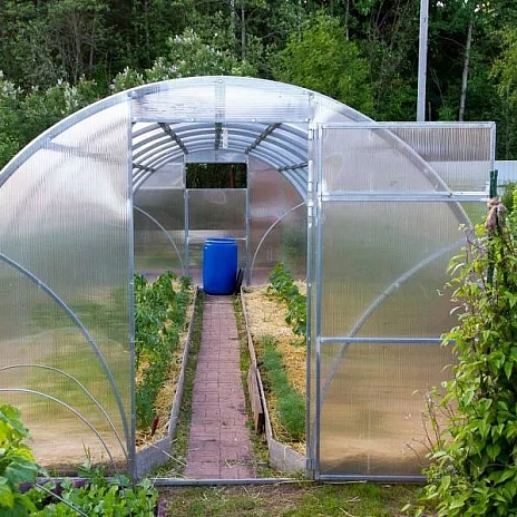 Теплица Воля Сигма Ц (шаг 100 см)