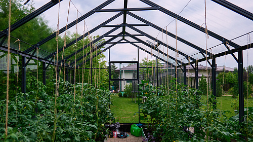 Теплица ЭКОНИКА  звезда участка