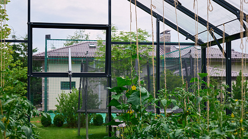 Теплица ЭКОНИКА  звезда участка