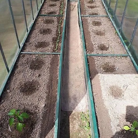 Теплица Воля Перчина М Плюс