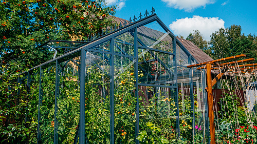 Теплица ЭКОНИКА с боковой дверью