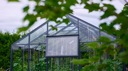 Теплица ЭКОНИКА  звезда участка