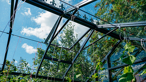 Теплица ЭКОНИКА с боковой дверью