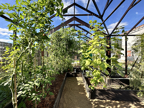 Теплица "botanik" с мини тамбуром 28м2