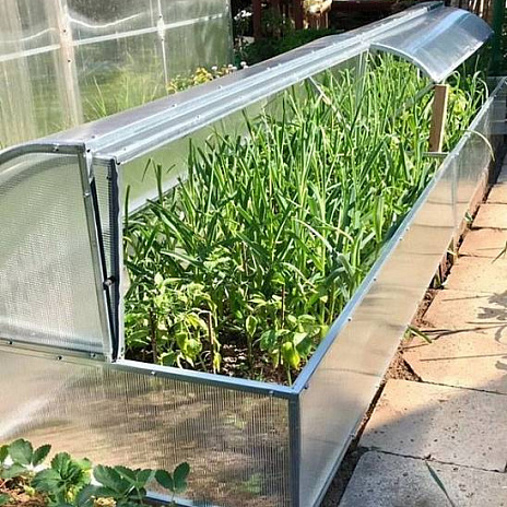 Парник Воля Лотос