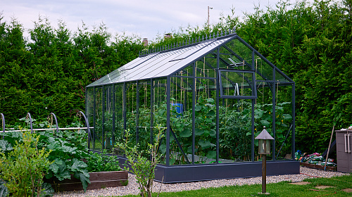 Теплица ЭКОНИКА  звезда участка