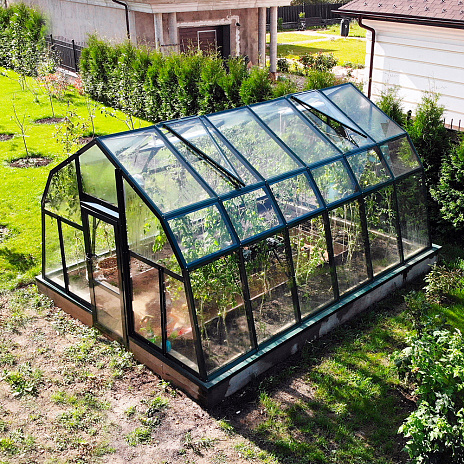 Теплица ДНЕПР