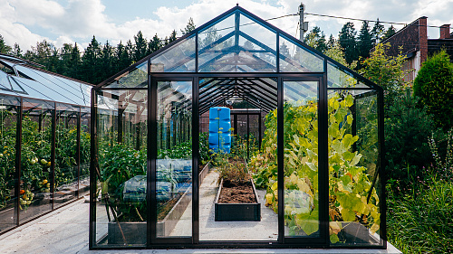 Две теплицы ЭКОНИКА на одном участке