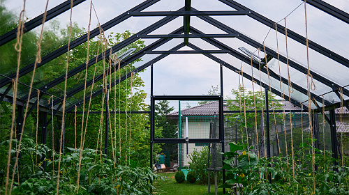 Теплица ЭКОНИКА  звезда участка