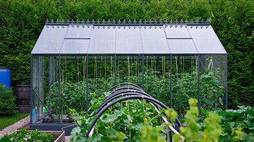 Теплица ЭКОНИКА  звезда участка