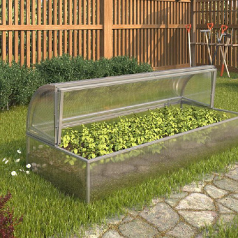 Парник Воля Лотос