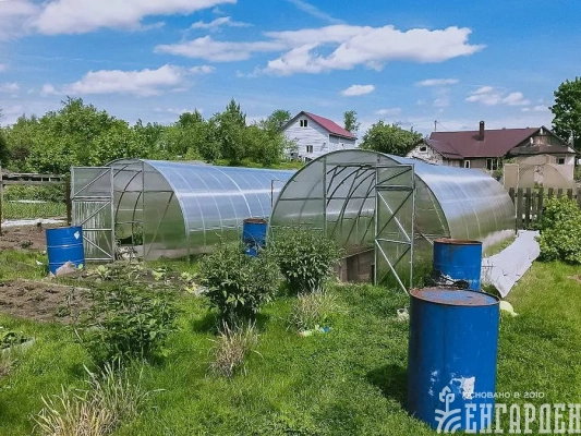 Теплица Воля Эко с усилителями
